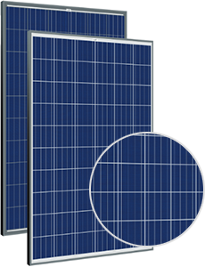 Trina Solar Energy TSM-260PD05.08