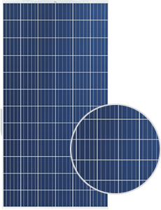 Trina Solar Energy TSM-315PEG14