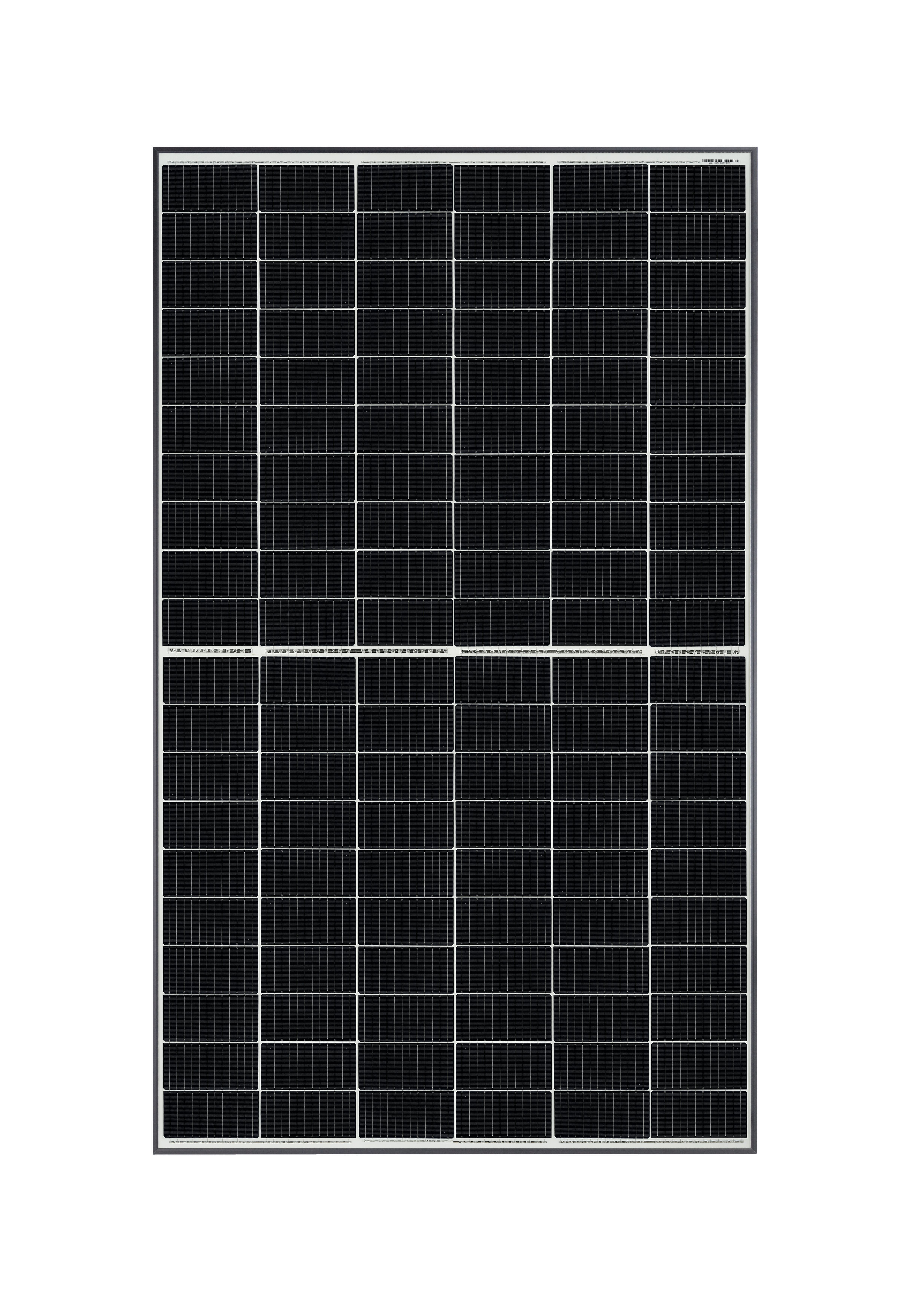 Qcells DUO-G8+ - 350 Watt