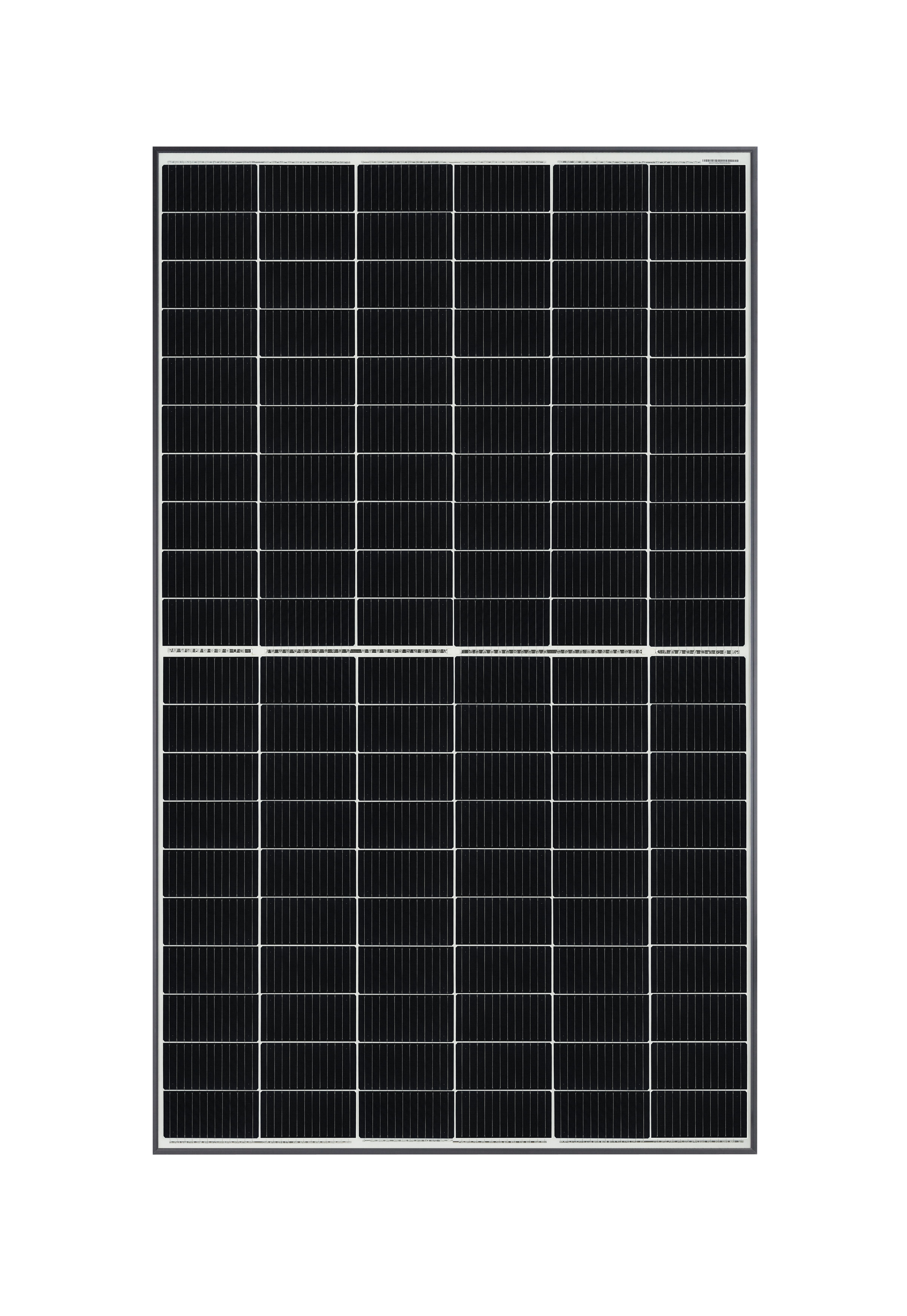 Q CELLS DUO-G8+ - 350 Watt