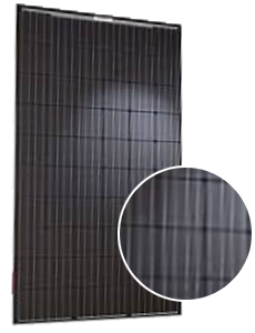 Q CELLS BLK-G4.1 300