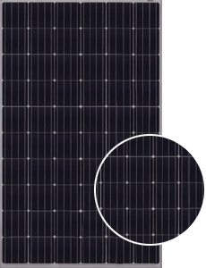 JA Solar JAM6(K)-60-295/PR