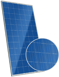 Canadian Solar CS6X-310P