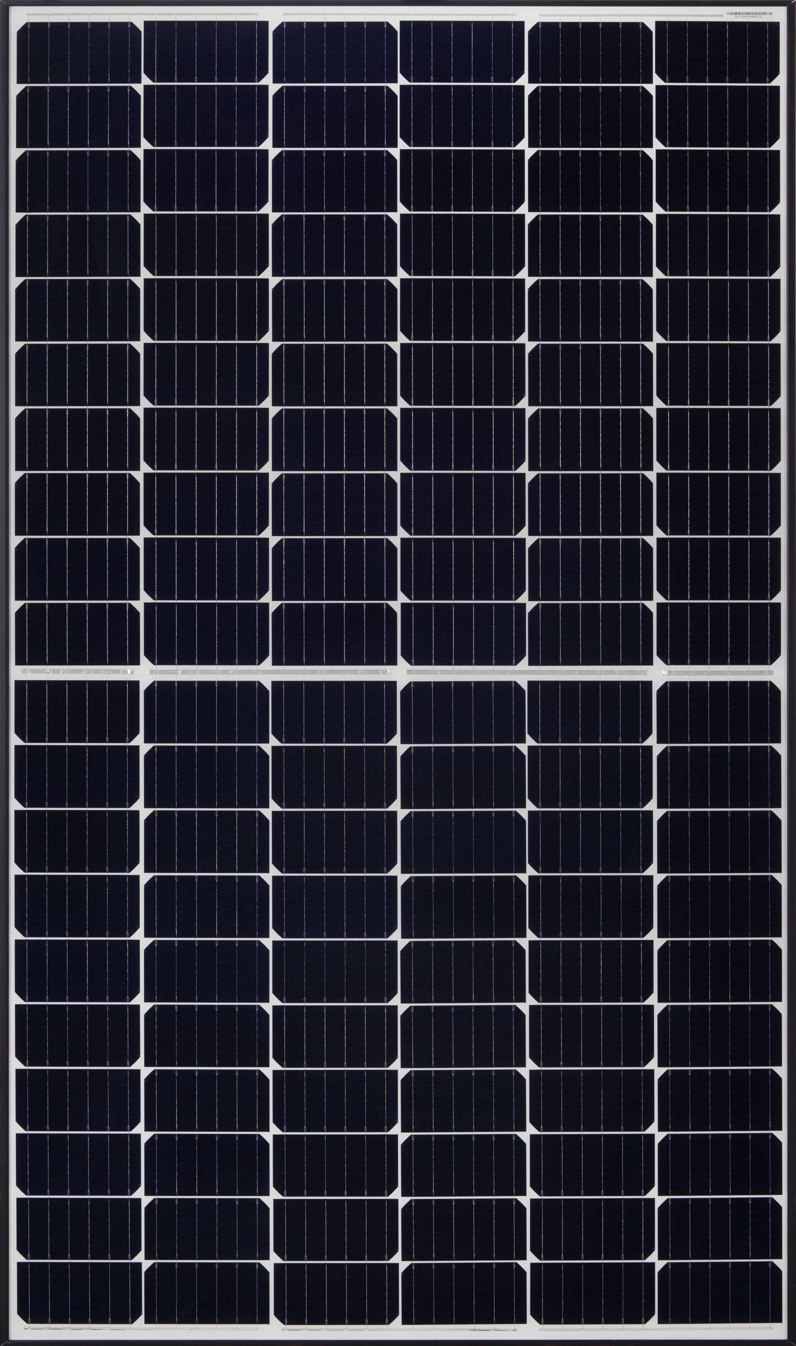 Qcells DUO-G6+ - 345 Watt