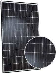 Qcells G4.1 290