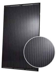 Q CELLS BLK-G4.1 295