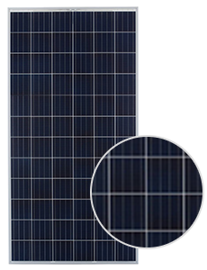 Neo Solar Power D6P320E4A