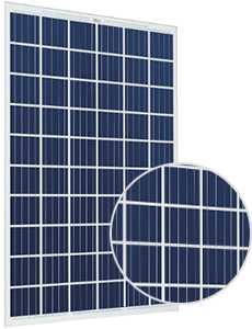 Trina Solar Energy TSM-265PEG5
