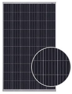 JA Solar JAP6(K)-60-255/4BB