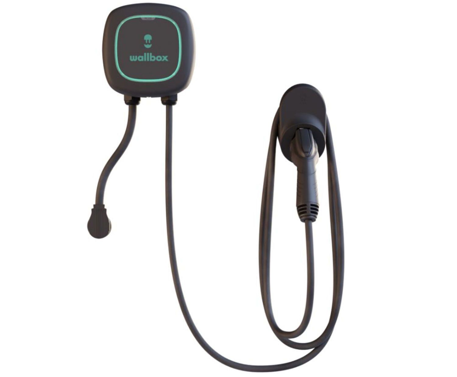 Wallbox Pulsar Plus 40A