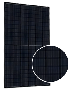 Q CELLS BLK-G5 305