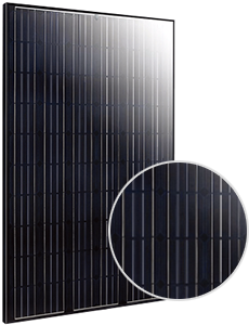 Elite Black Monocrystalline ET-M660270BB Solar Panel
