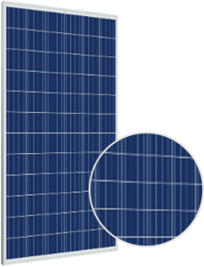 Trina Solar Energy TSM-320PD14
