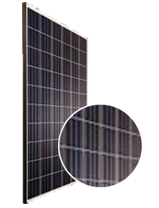 Boviet Solar BVM6610P-250